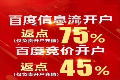 某某SEM服务公司成功案例：从数据出发的营销策略